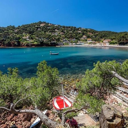 Appartement le Fabregas 4 pers vue mer La Seyne-sur-Mer Eksteriør bilde