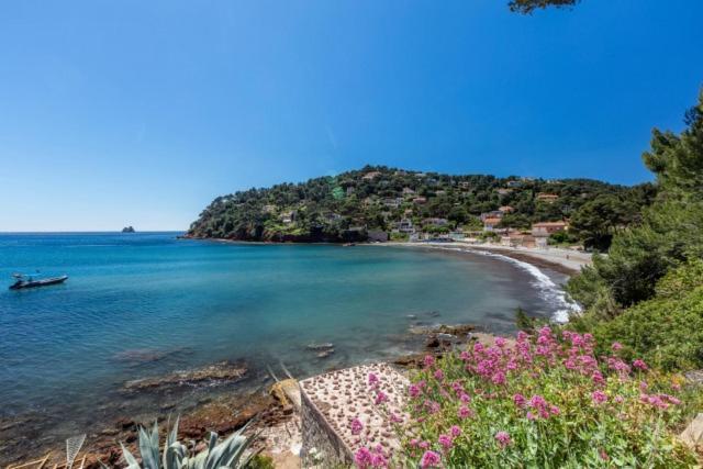 Appartement le Fabregas 4 pers vue mer La Seyne-sur-Mer Eksteriør bilde